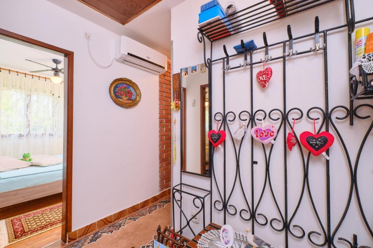 Apartman Ana 木洛希尼 外观 照片